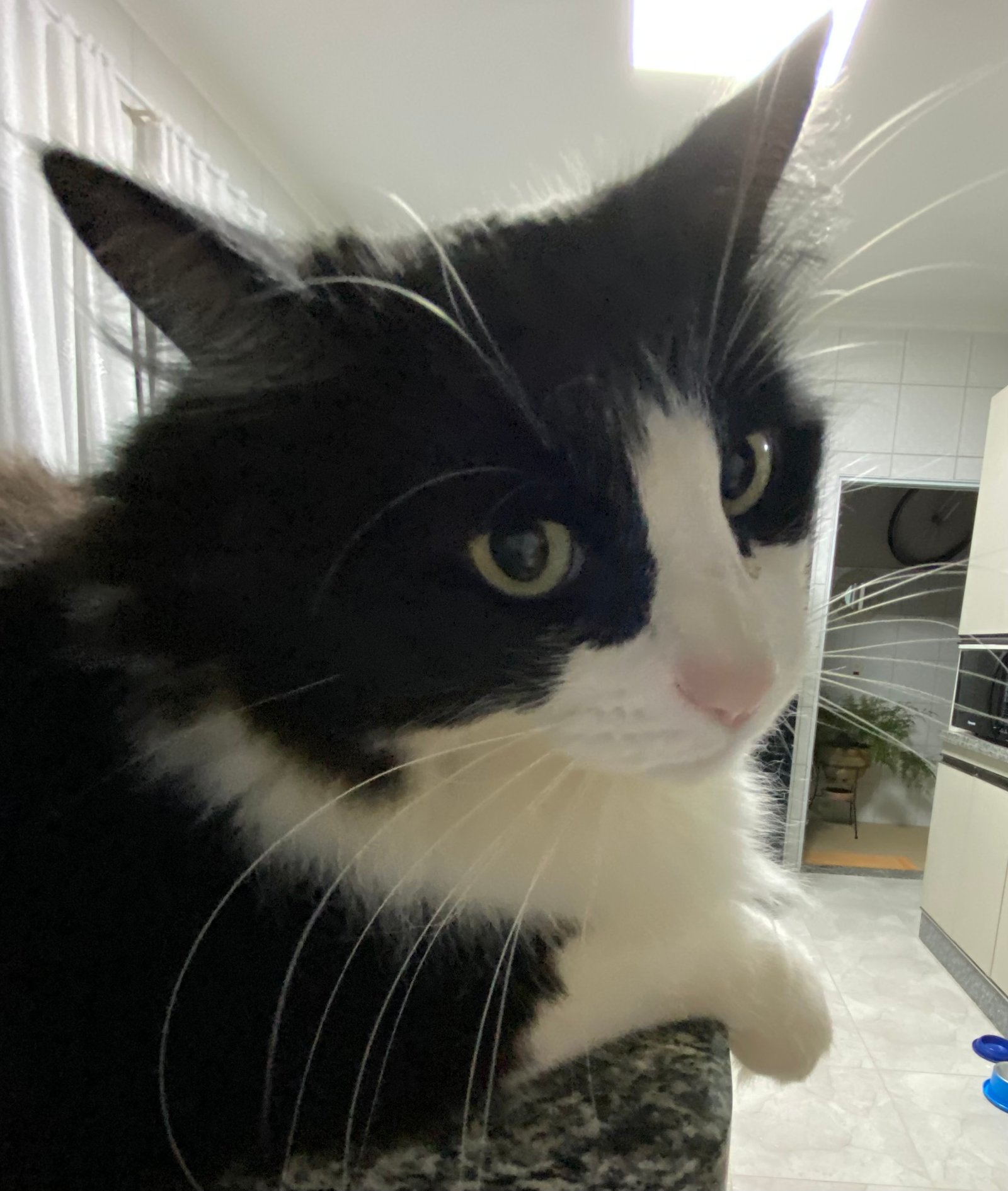 Profile picture of Hex