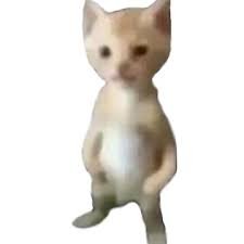 gabrioches