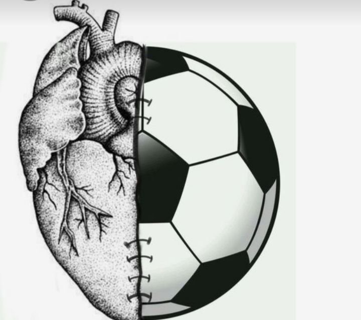 Diário de Bordo/Razão vs. Coração: O Duelo de Perspectivas no Futebol.